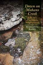 Down on Mahans Creek: A History of an Ozarks Neighborhood