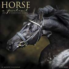 Horse: A Portrait 2018 Wall Calendar