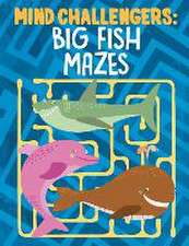Mind Challengers: Big Fish Mazes
