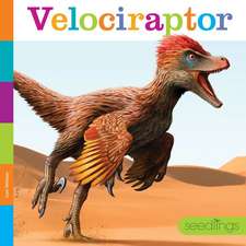 Velociraptor