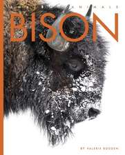 Bison