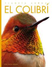 El Colibrí