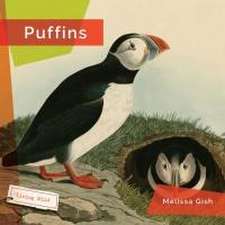 Puffins