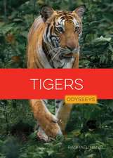 Tigers
