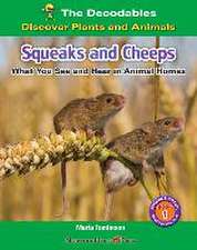 SQUEAK & CHEEPS WHAT YOU SEE &