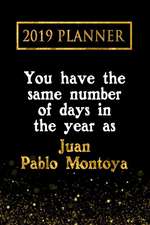 2019 Planner: You Have the Same Number of Days in the Year as Juan Pablo Montoya: Juan Pablo Montoya 2019 Planner