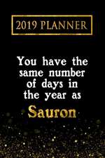 2019 Planner: You Have the Same Number of Days in the Year as Sauron: Sauron 2019 Planner