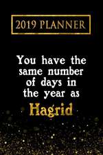 2019 Planner: You Have the Same Number of Days in the Year as Hagrid: Hagrid 2019 Planner