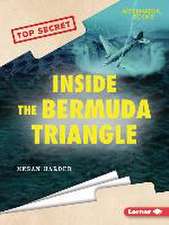 Inside the Bermuda Triangle