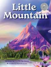 Little Mountain