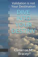 Dive Into Your Destiny: Validation Is Not Your Destination