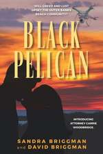 Black Pelican: Will Greed and Lust Upset the Outer Banks Community?