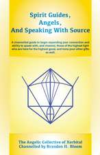 Spirit Guides, Angels, and Speaking With Source