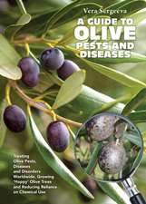 A Guide to Olive Pests & Diseases