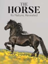 The Horse