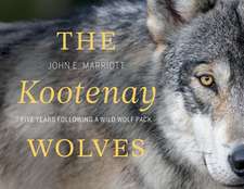 The Kootenay Wolves: Five Years Following a Wild Wolf