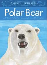 Polar Bear