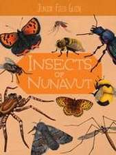 Junior Field Guide: Insects of Nunavut