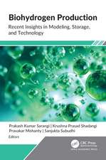 Biohydrogen Production: Recent Insights in Modeling, Storage, and Technology