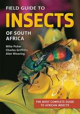 Field Guide to Insects of South Africa