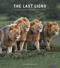 Last Lions