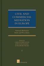 Civil and Commercial Mediation in Europe (Set - Vols. 1&2): The Interface Between Patents and Human Rights. Does One Size Fit All?