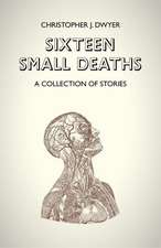 Sixteen Small Deaths: A Collection of Stories