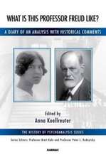 What is this Professor Freud Like?: A Diary of an Analysis with Historical Comments