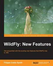 Wildfly: New Features