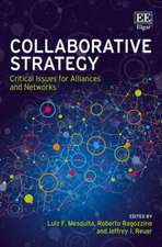 Collaborative Strategy – Critical Issues for Alliances and Networks