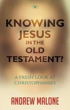 Knowing Jesus in the Old Testament? – A Fresh Look At Christophanies