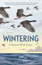 Wintering: A Season with Geese