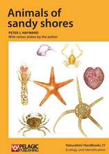 Animals of Sandy Shores