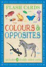 Animal Flash Cards: Colours & Opposites