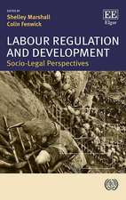 Labour Regulation and Development – Socio–Legal Perspectives