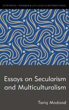 Essays on Secularism and Multiculturalism