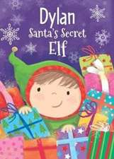 DYLAN SANTAS SECRET ELF