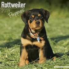 Rottweiler Puppies Calendar 2019