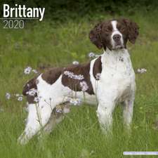 Brittany Calendar 2020