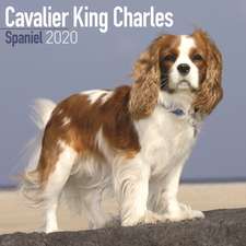 Cavalier King Charles Spaniel Calendar 2020