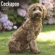 Cockapoo Calendar 2020