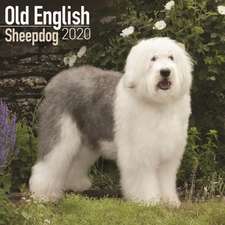 Old English Sheepdog Calendar 2020