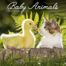 Baby Animals Calendar 2020