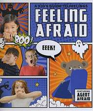 Holmes, K: Feeling Afraid