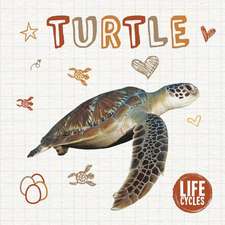 Turtle