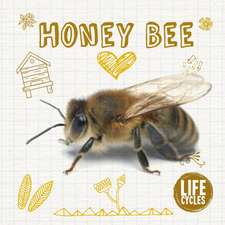 Honey Bee