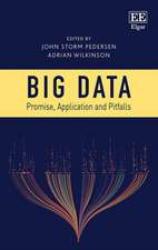 Big Data – Promise, Application and Pitfalls