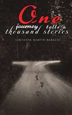 One Journey Tells a Thousand Stories