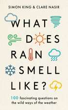 What Does Rain Smell Like?