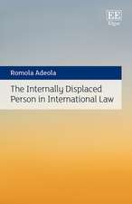 The Internally Displaced Person in International Law